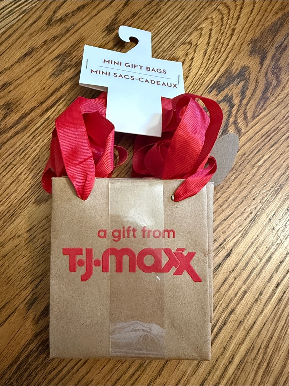Tic Toc  Viral T.J.Maxx Mini Gift Bags with Red Logo & Red Ribbon Handles